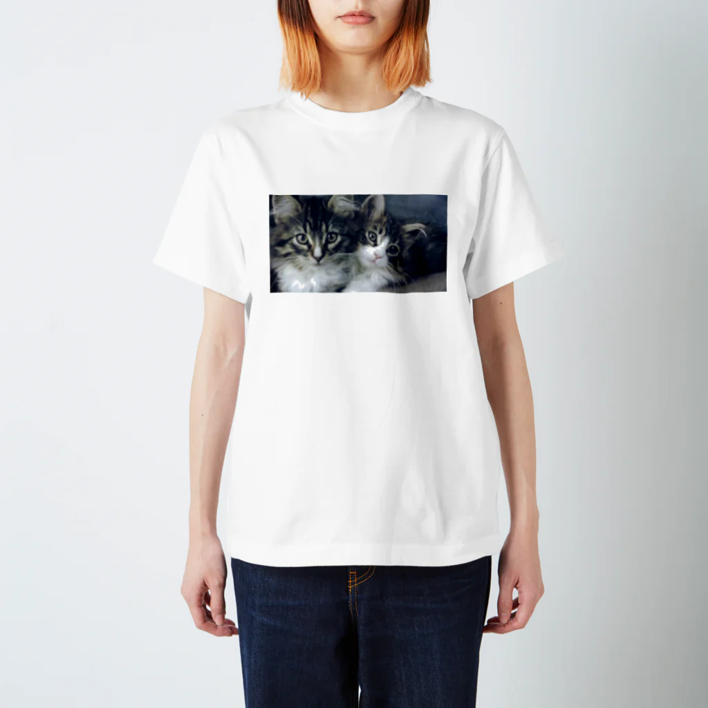 saechaの猫 Tシャツ スタンダードTシャツ