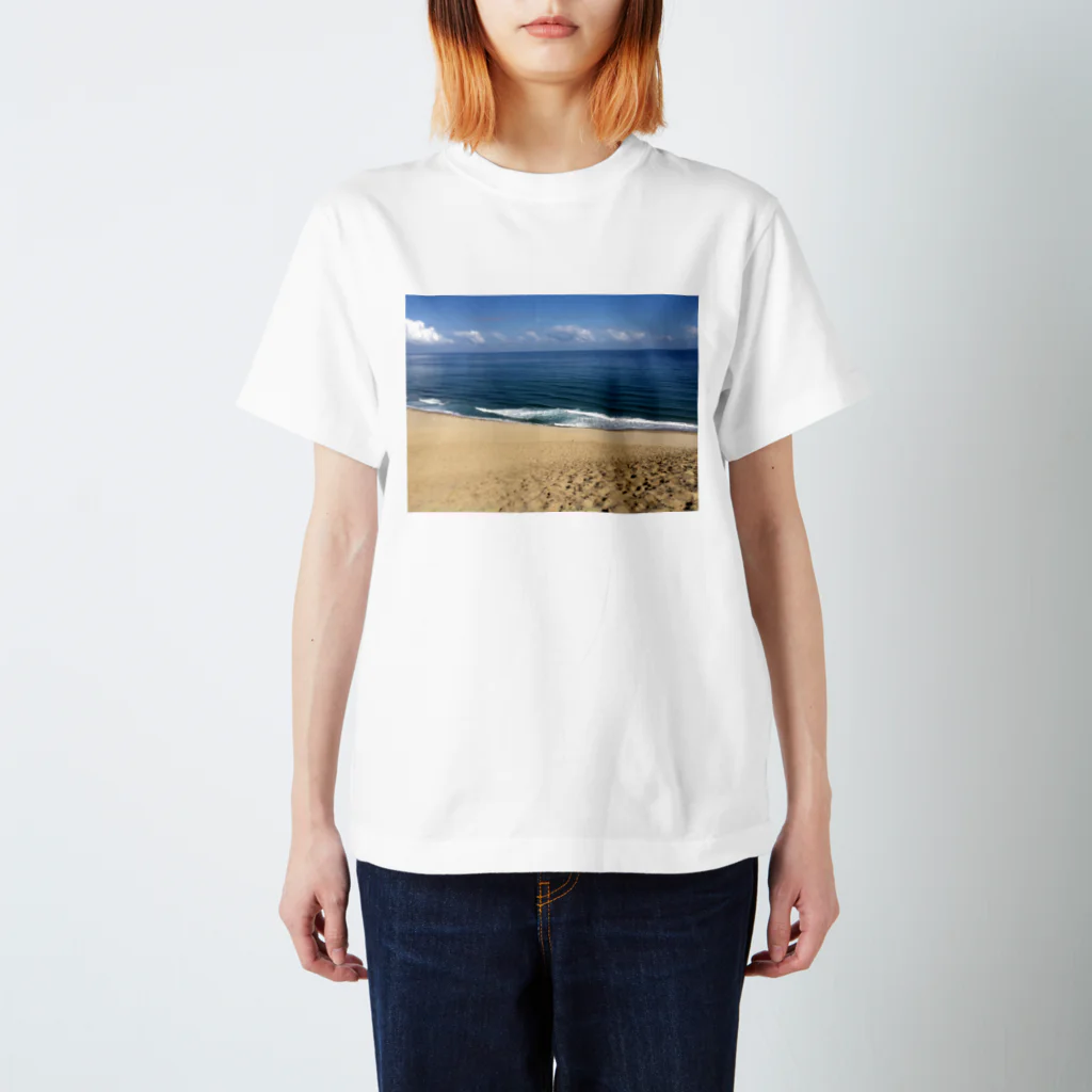 onの砂丘 Regular Fit T-Shirt