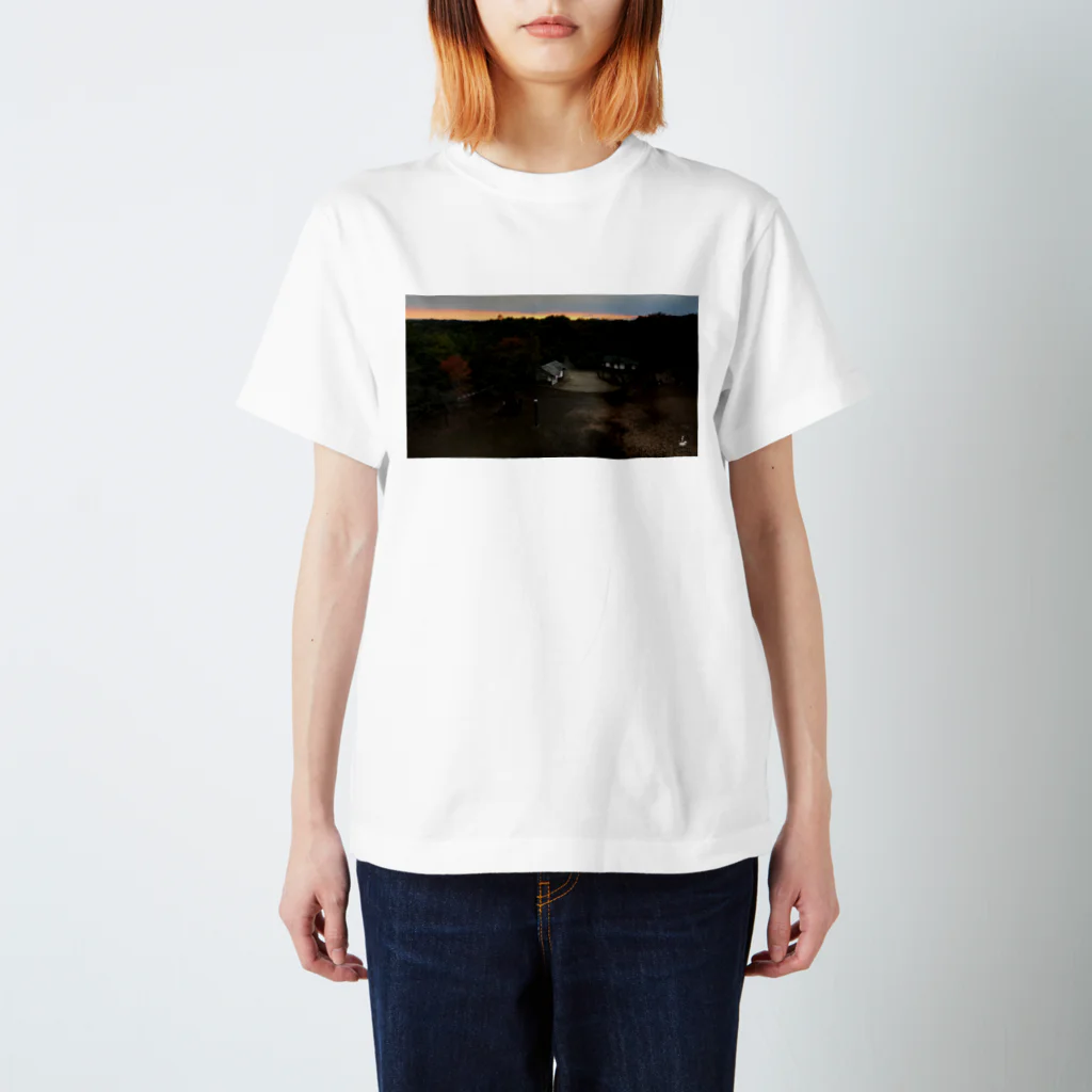 fDESIGNのfp_32_Photo スタンダードTシャツ