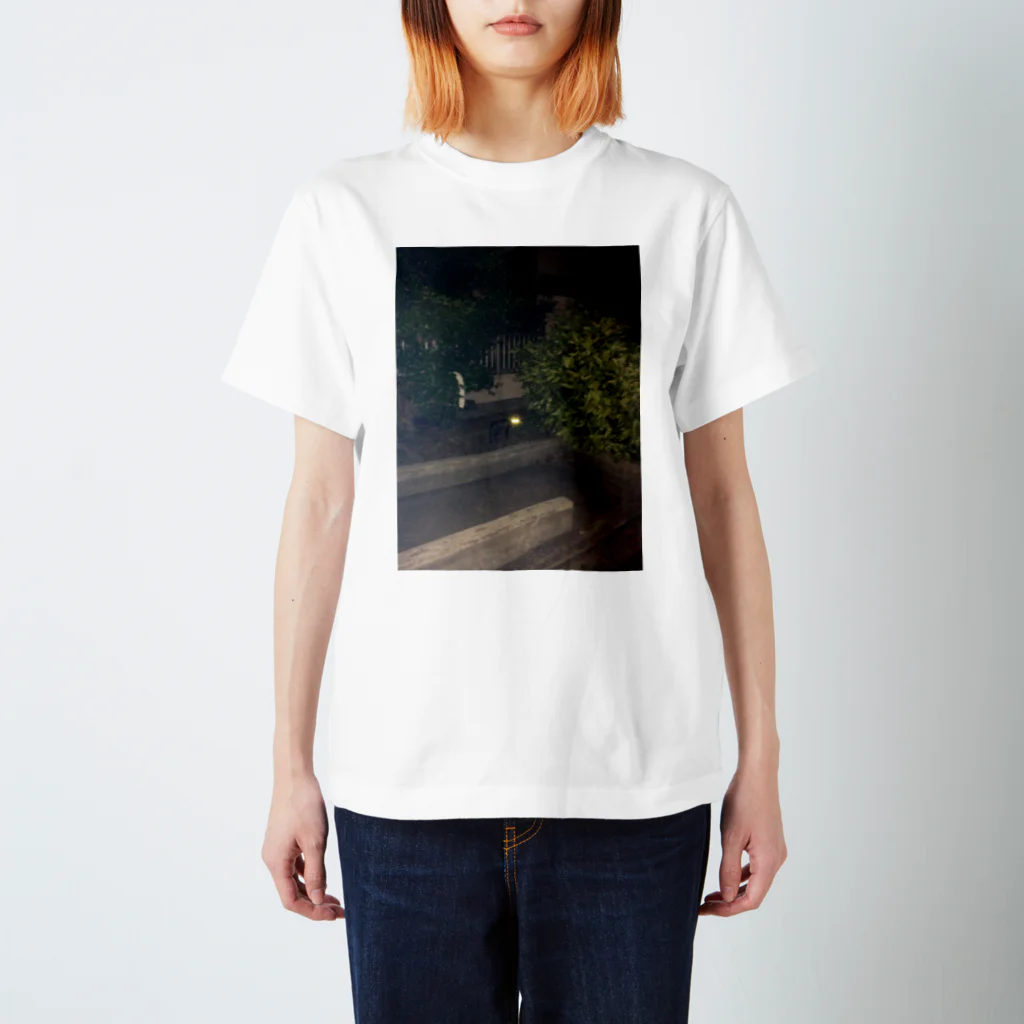 botamochiiの真夜中の眼光 Regular Fit T-Shirt