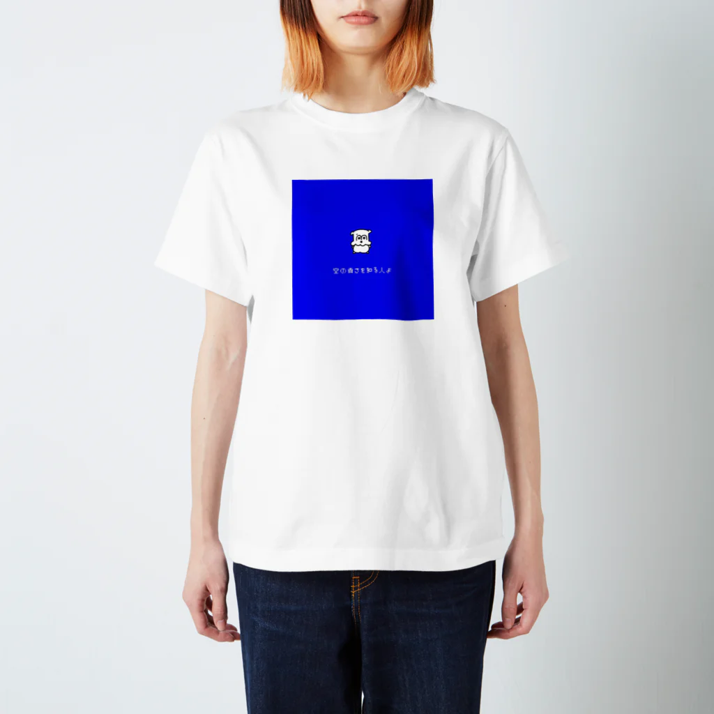 mipoco_chanのぶる~すかい Regular Fit T-Shirt