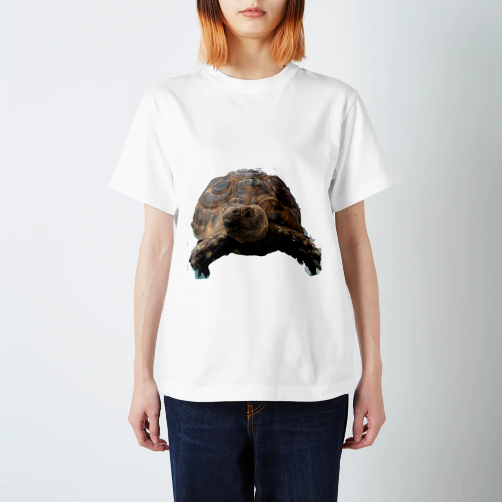 molaのモーラ 2 Regular Fit T-Shirt