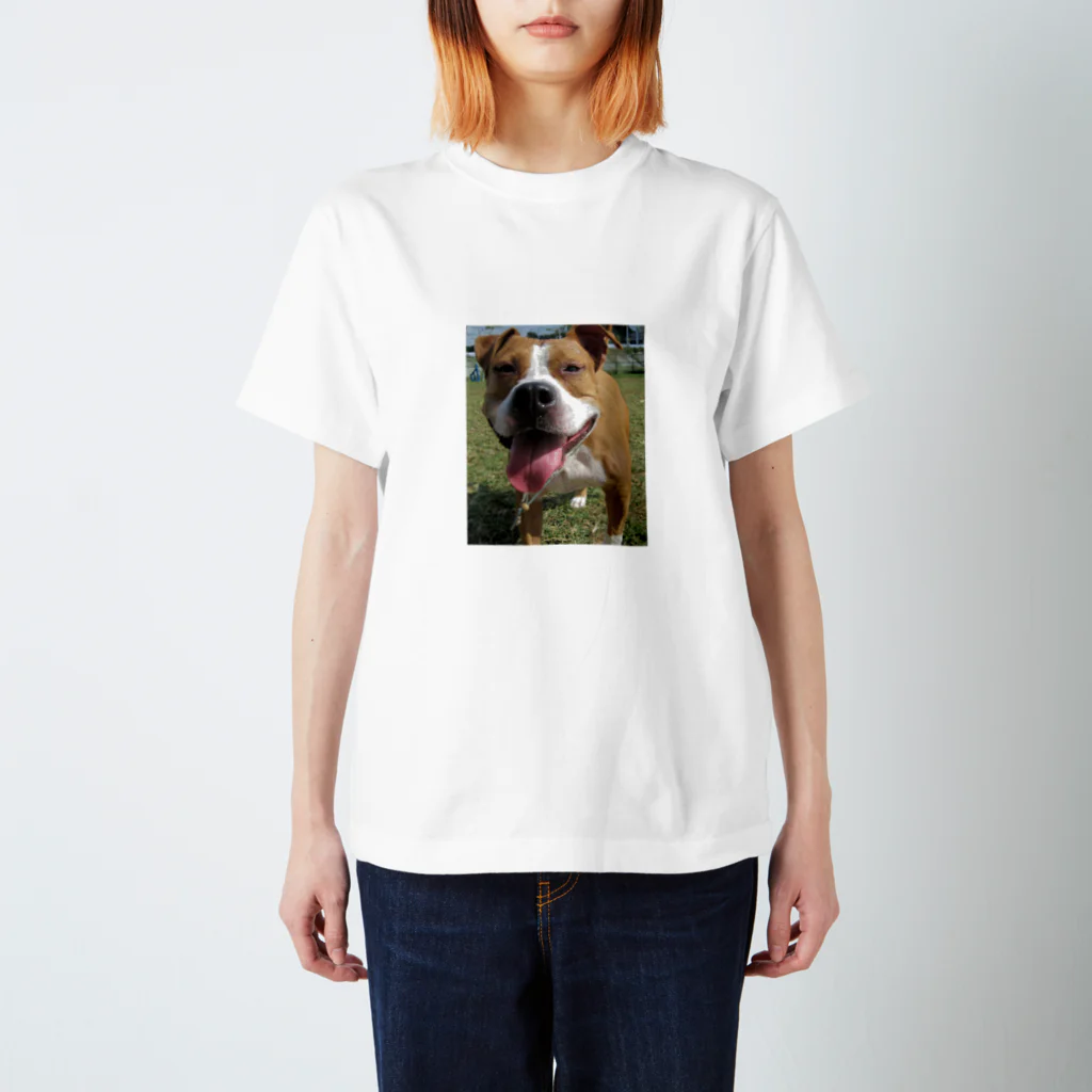 moltishのブサ顔犬 スタンダードTシャツ