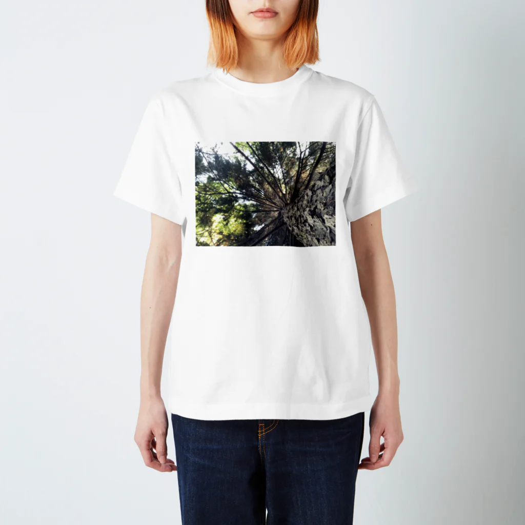 koenのkoen Regular Fit T-Shirt