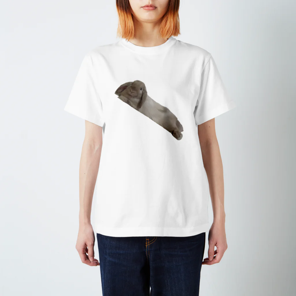 saxaのうさぎのカピくん Regular Fit T-Shirt