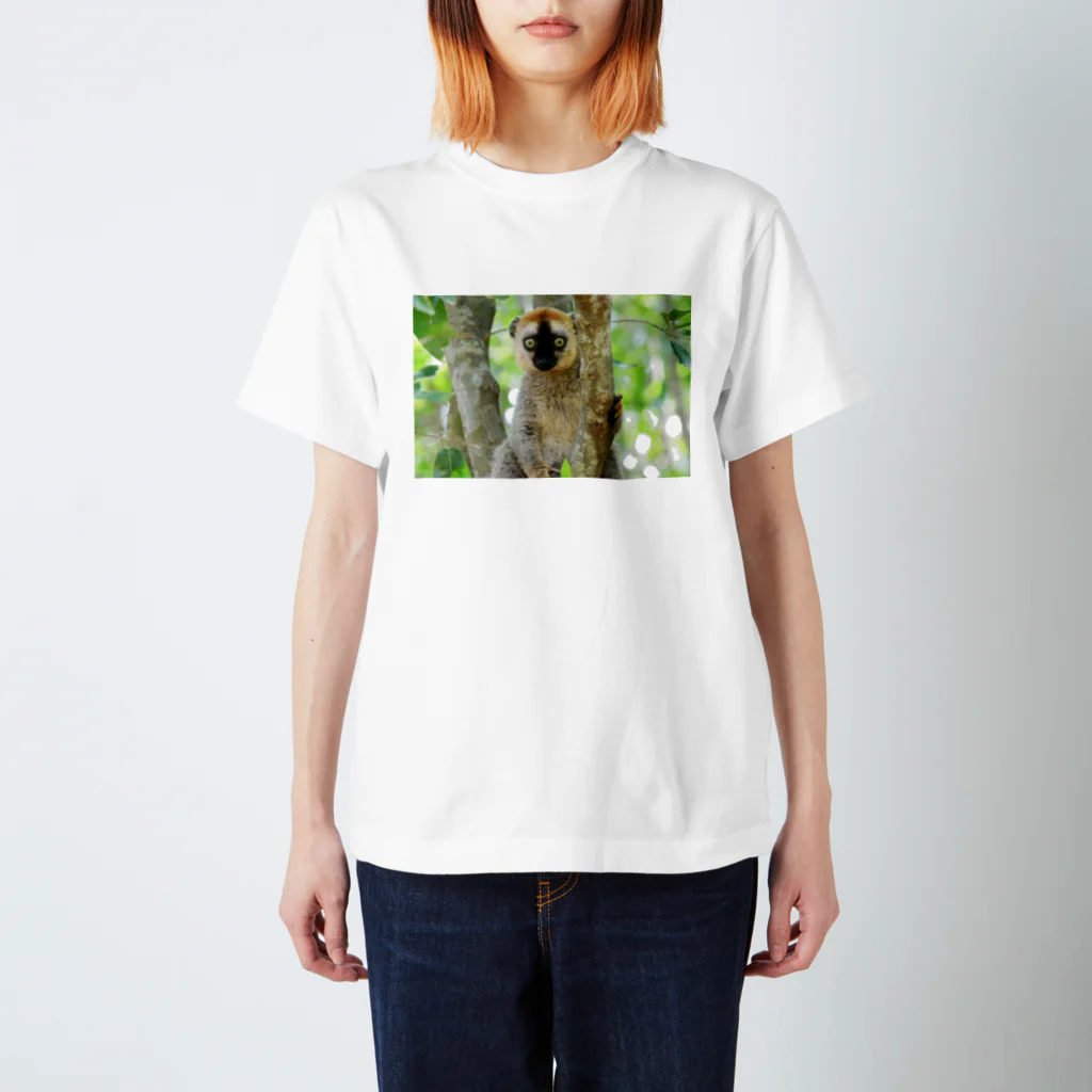 よこぴーなっつのlemurちゃん。 スタンダードTシャツ