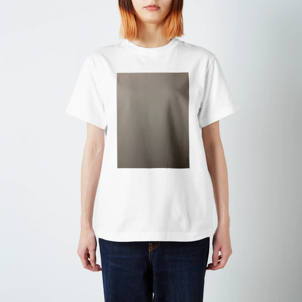 waltushiのはじめまして、無地商品 Regular Fit T-Shirt