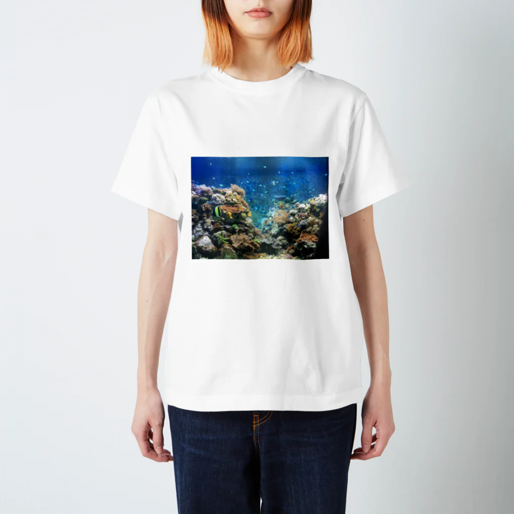 aqaの須磨水族館 Regular Fit T-Shirt