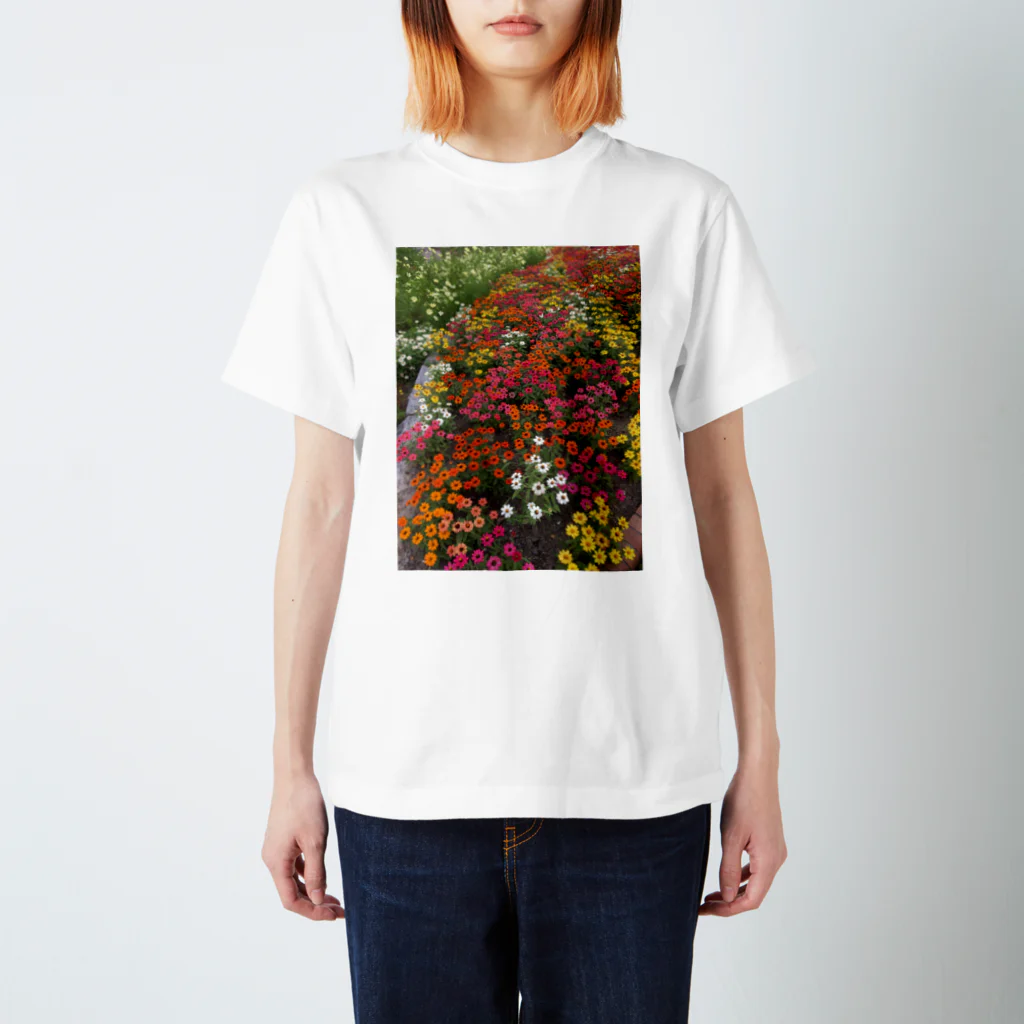 sasamimiのカラフル Regular Fit T-Shirt