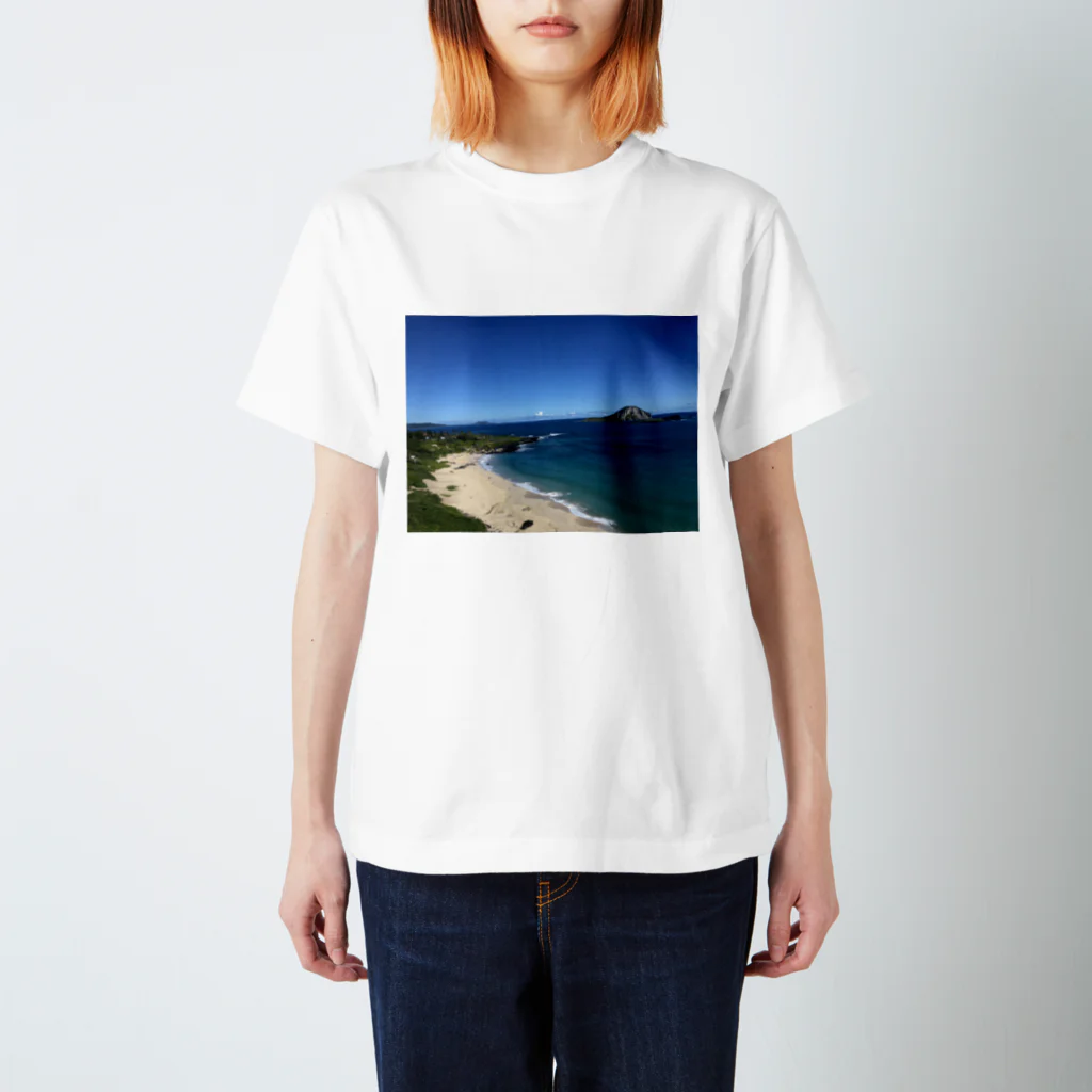 ayaieyohのHawaii🌴4 スタンダードTシャツ