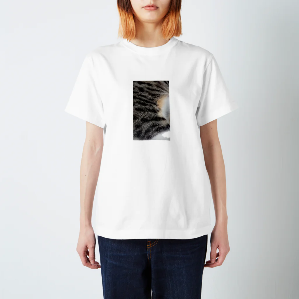 mrkwmrkの猫キジトラ柄 Regular Fit T-Shirt