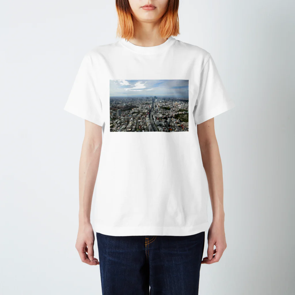 mkoijnの風景 スタンダードTシャツ