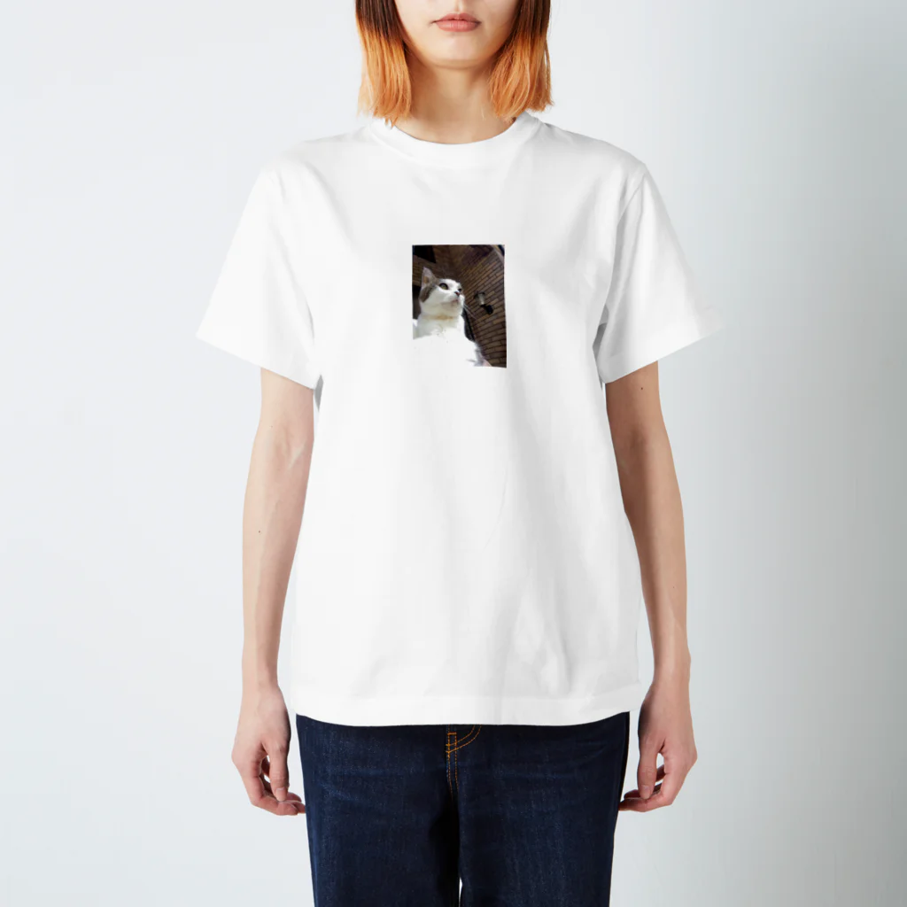 daidouのいつもふてぶてしいうちの愛猫 スタンダードTシャツ
