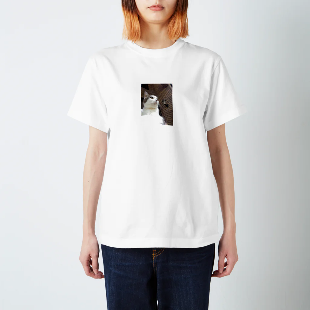 daidouのいつもふてぶてしいうちの愛猫 Regular Fit T-Shirt