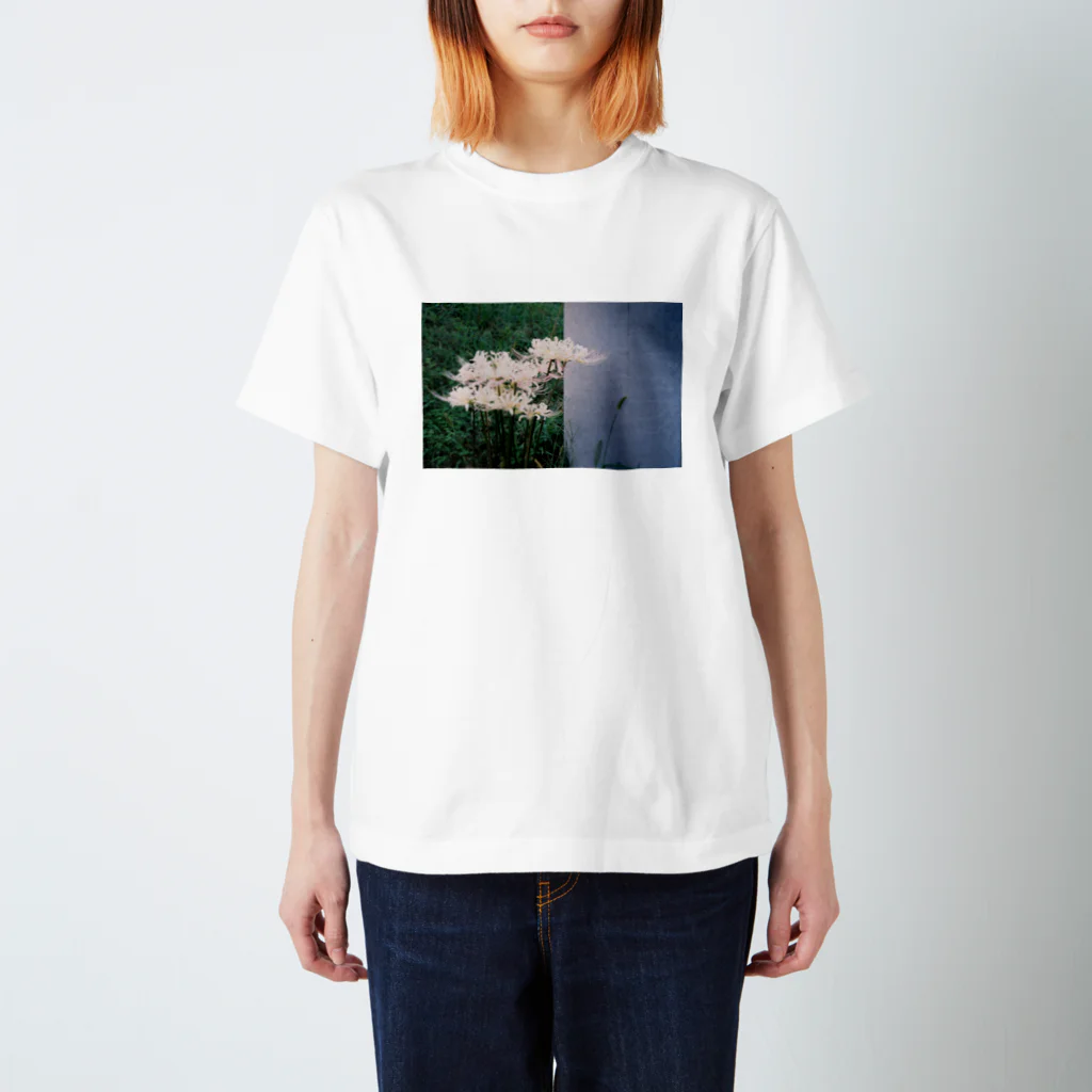 思惟の曼珠沙華とグレー スタンダードTシャツ