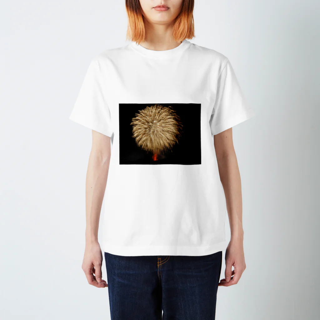 温泉ゆどうふの花火 スタンダードTシャツ