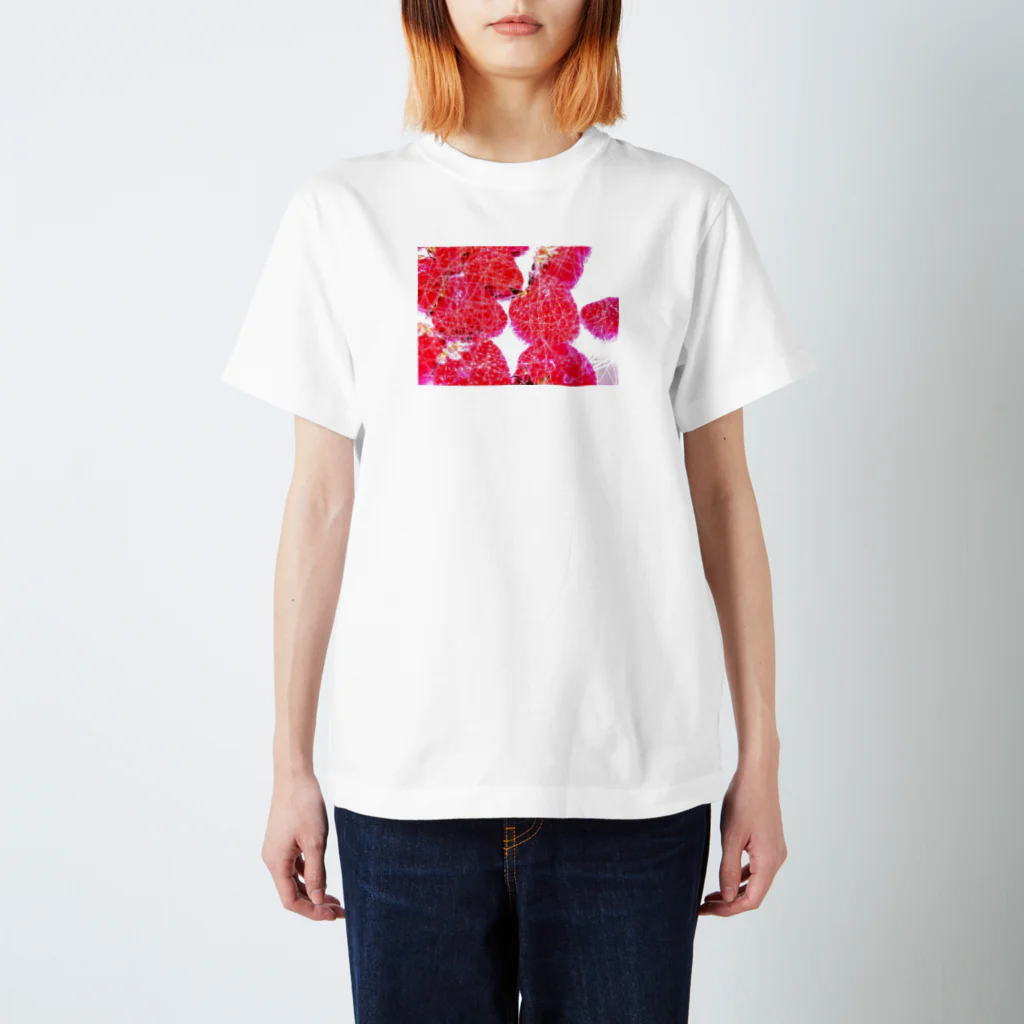 てんぷるしょっぷのなまいちご Regular Fit T-Shirt