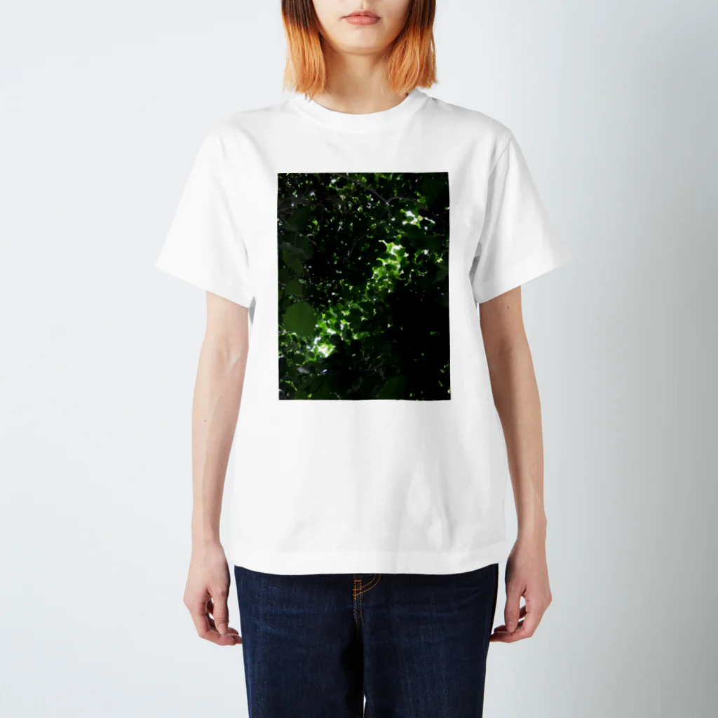 sun-sun_taiyoのしんりょく Regular Fit T-Shirt