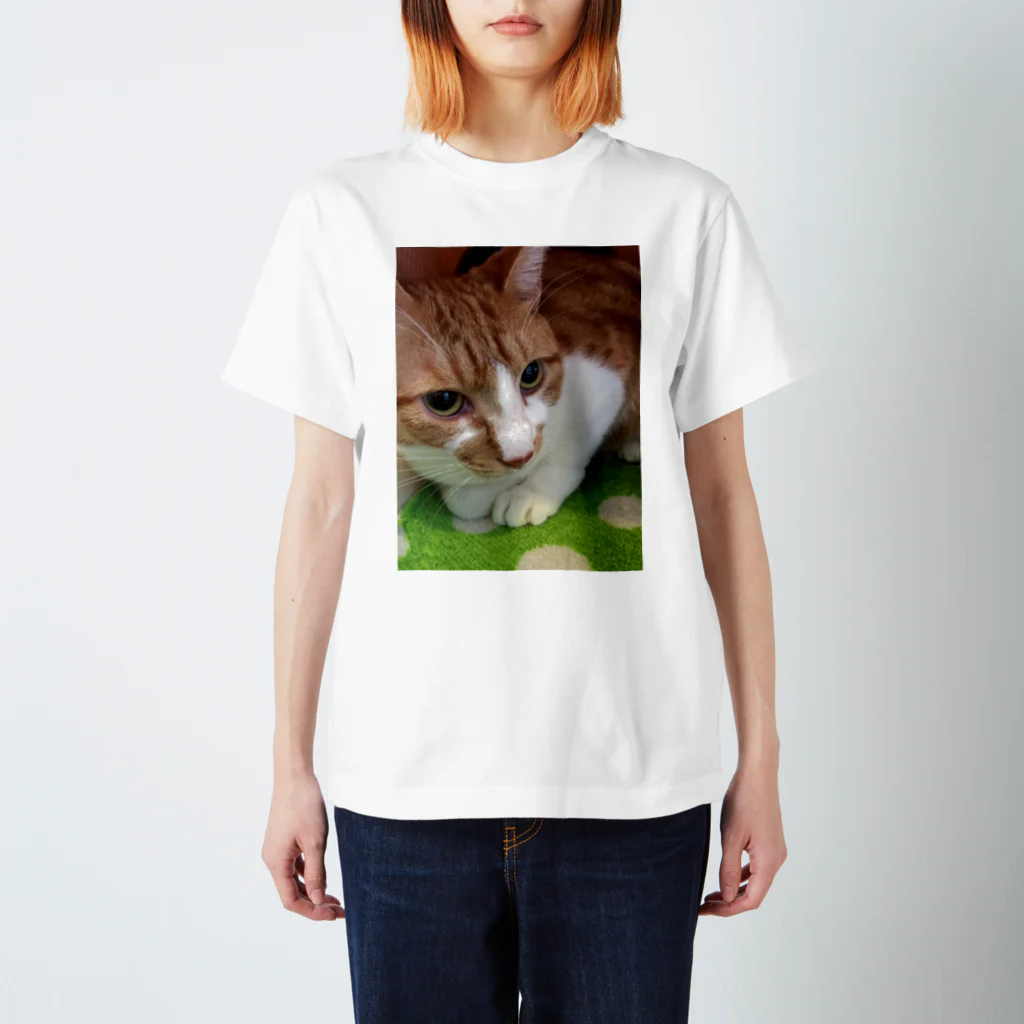 ねこまる広場のぽてとさんヾ(◍'౪`◍)ﾉﾞ スタンダードTシャツ