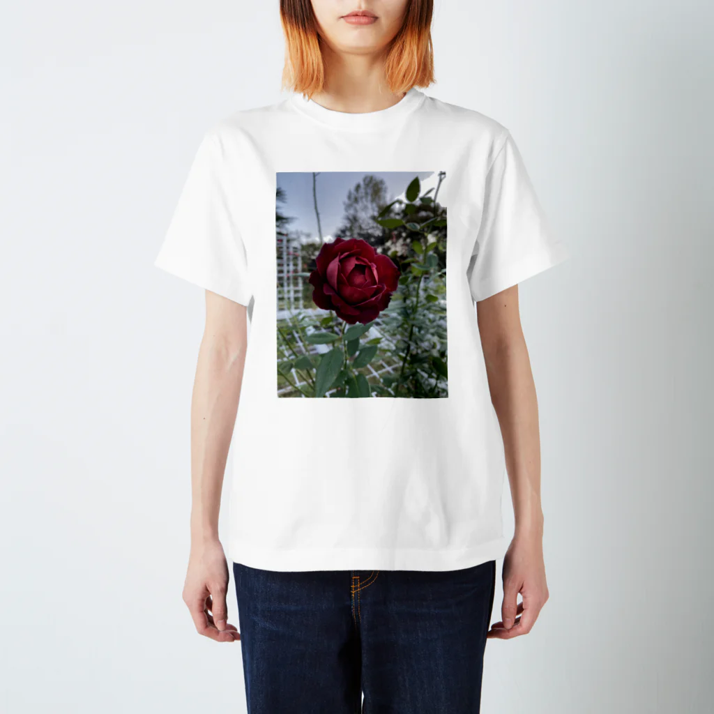 kobasakiiiiiの代々木野薔薇 Regular Fit T-Shirt