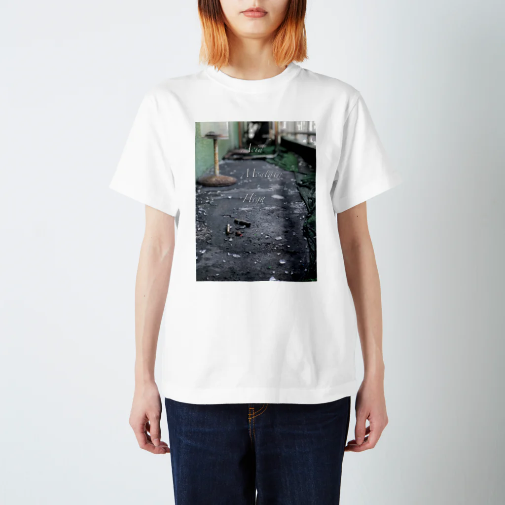 PARALIRAのAcid Mountain High スタンダードTシャツ