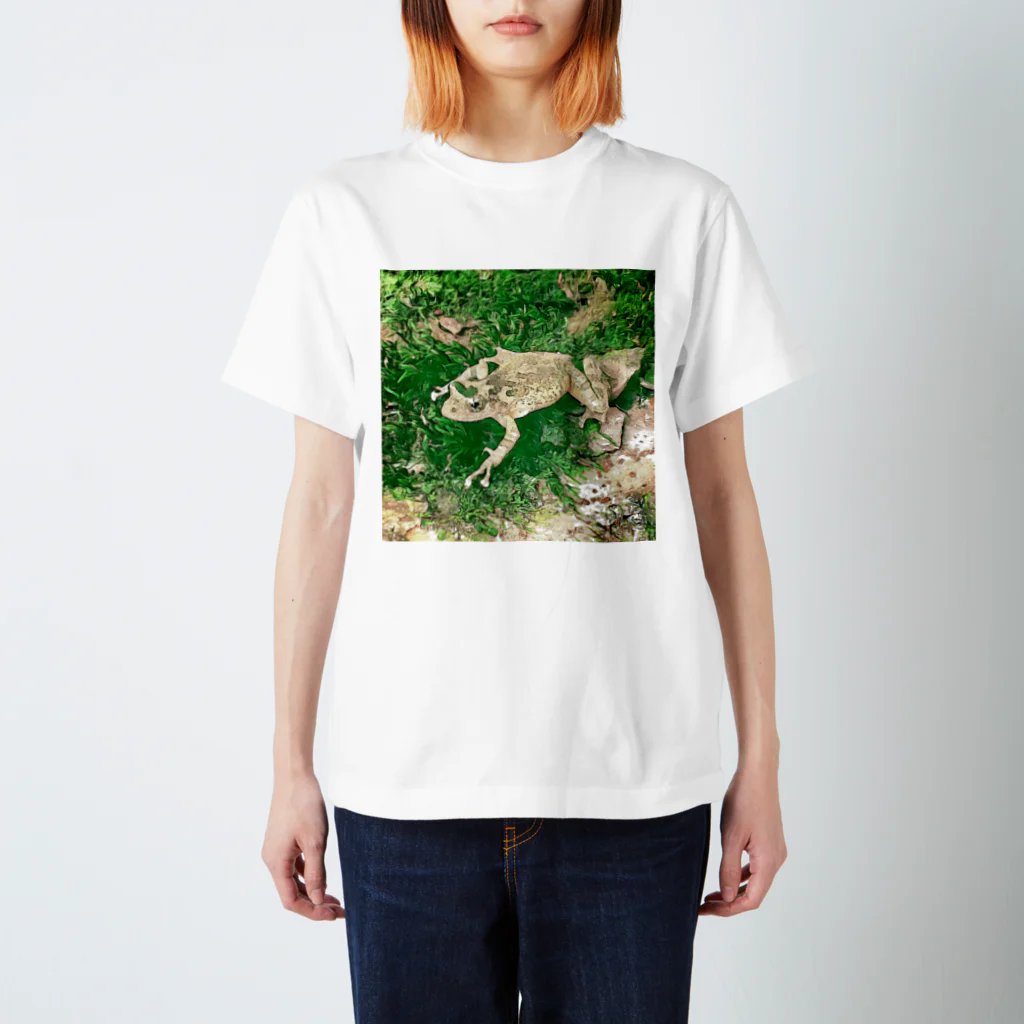 Fantastic FrogのFantastic Frog -Evergreen Version- スタンダードTシャツ