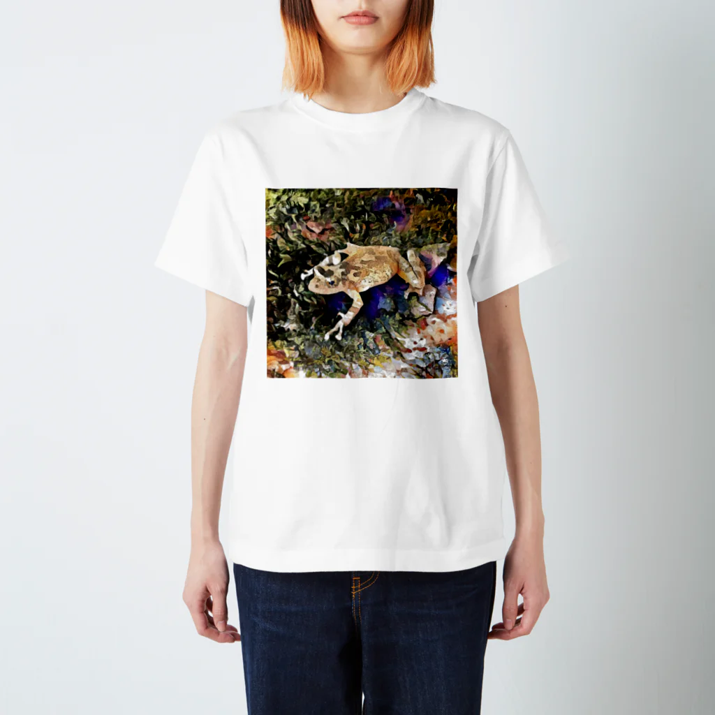 Fantastic FrogのFantastic Frog -Geode Version- Regular Fit T-Shirt