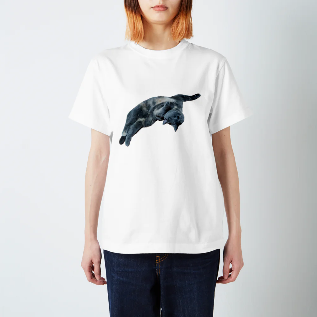 とうふ猫の猫ごろんにゃ スタンダードTシャツ