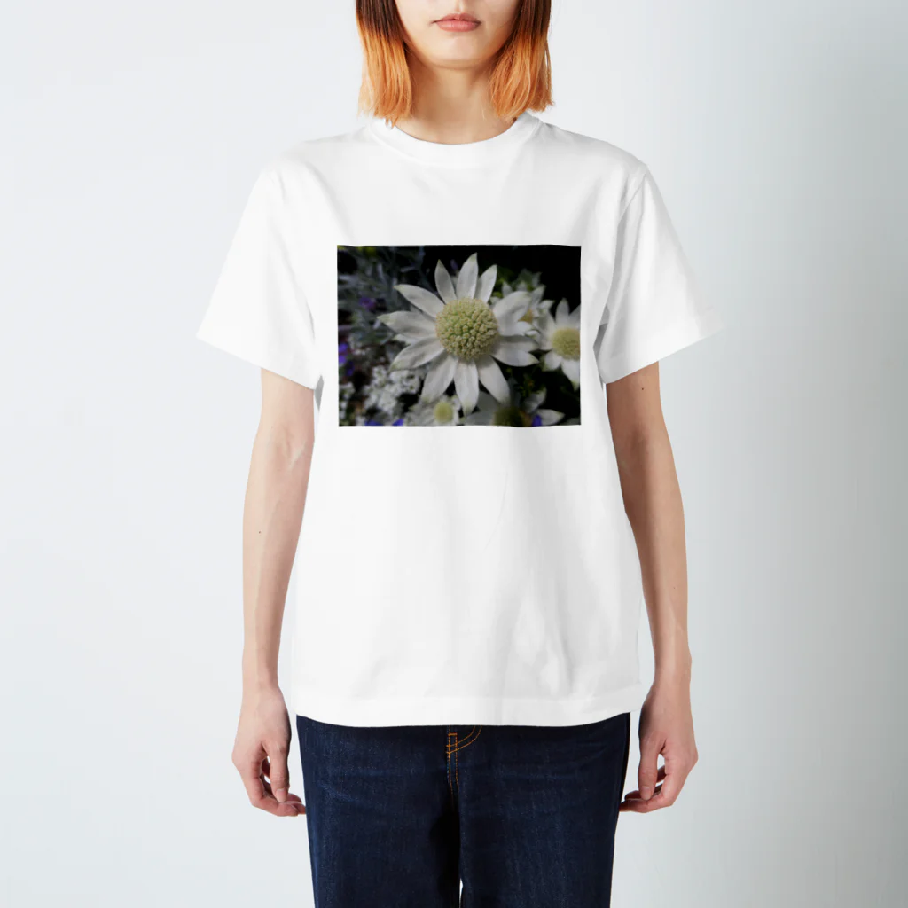 Dreamscape(LUNA)のそのままの君で良いよ Regular Fit T-Shirt