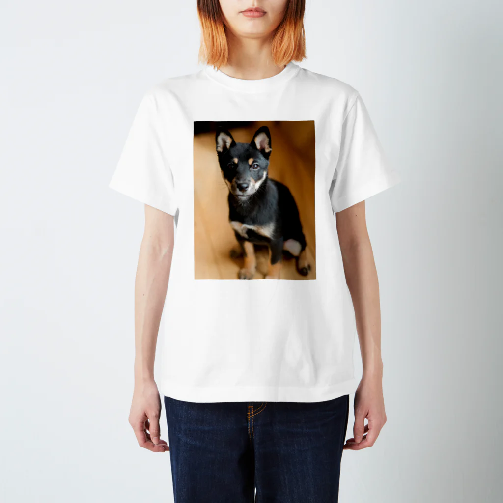 ナカムラのdog スタンダードTシャツ