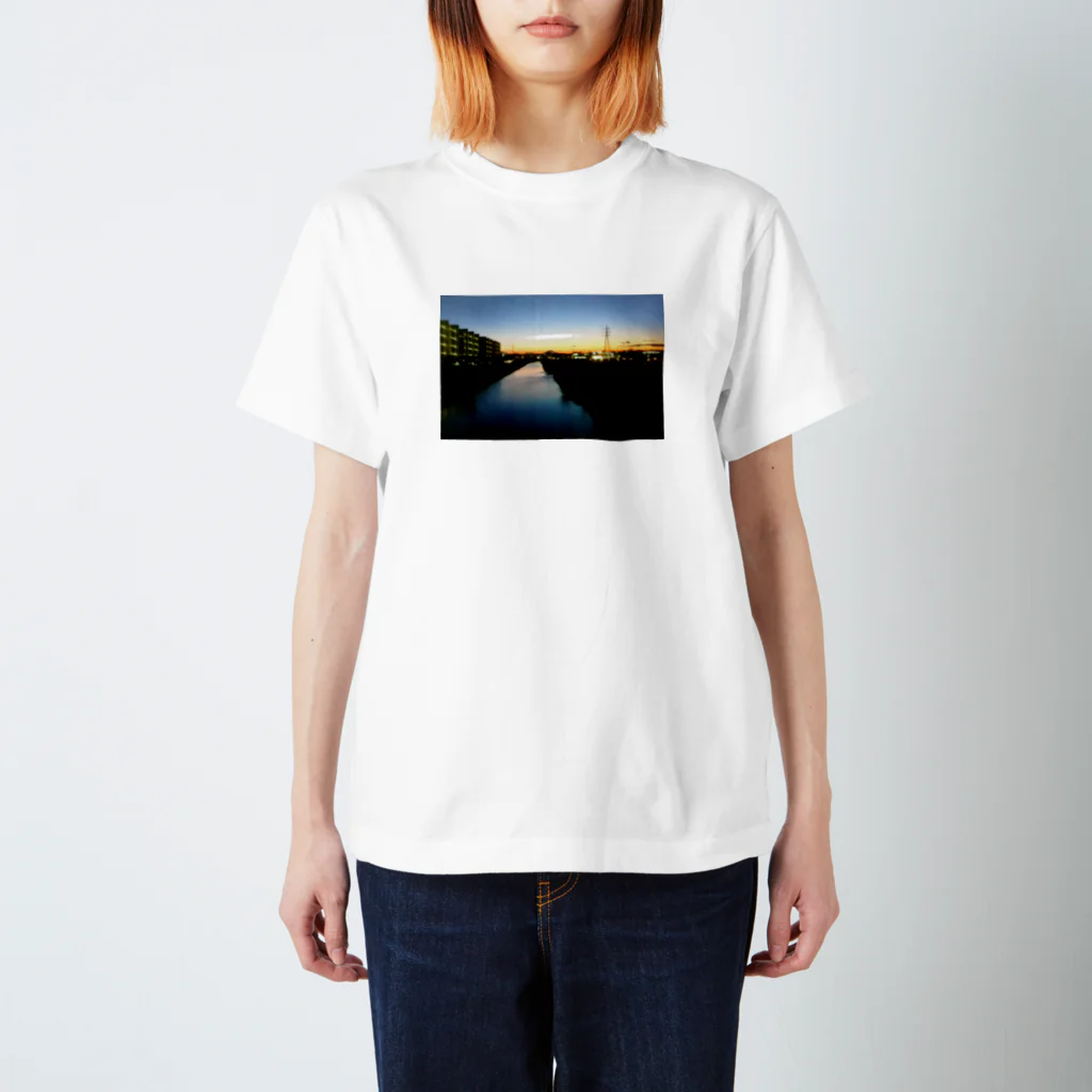 River Gardenの夜の手前 Regular Fit T-Shirt