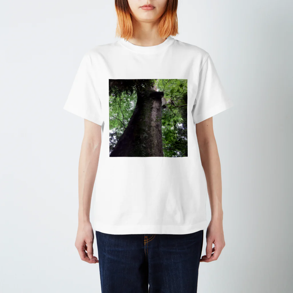 River Gardenの樹の生命力 Regular Fit T-Shirt