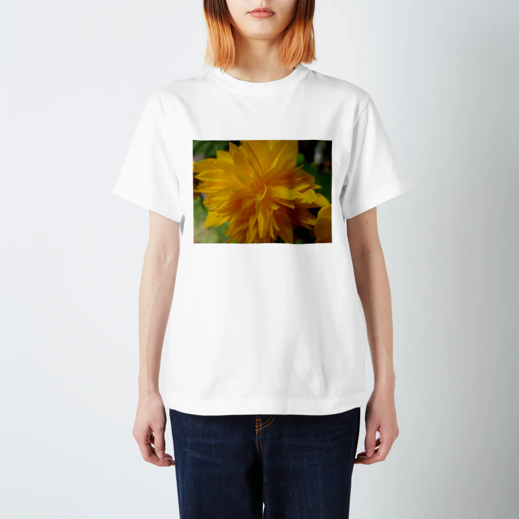 Dreamscape(LUNA)の輝きを求めて・・・ Regular Fit T-Shirt