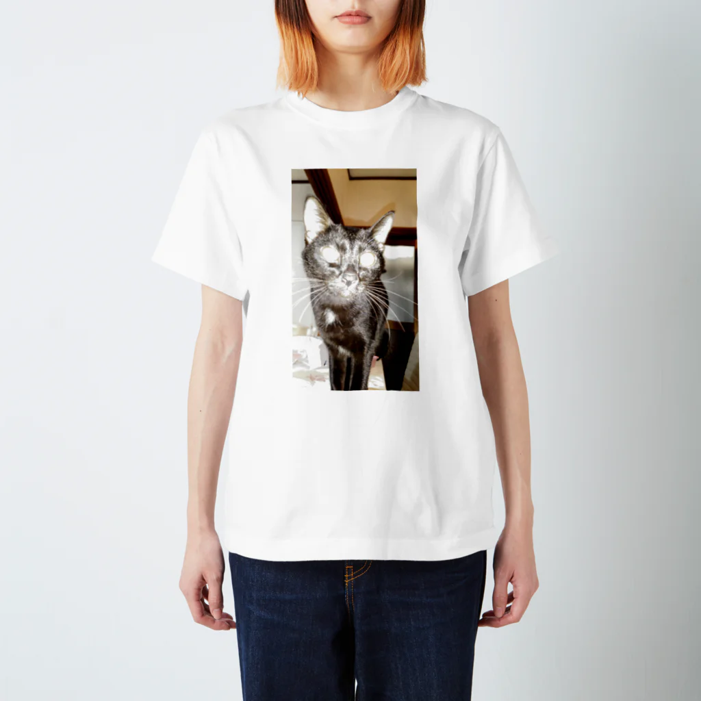 Sumigonのひかり猫 スタンダードTシャツ