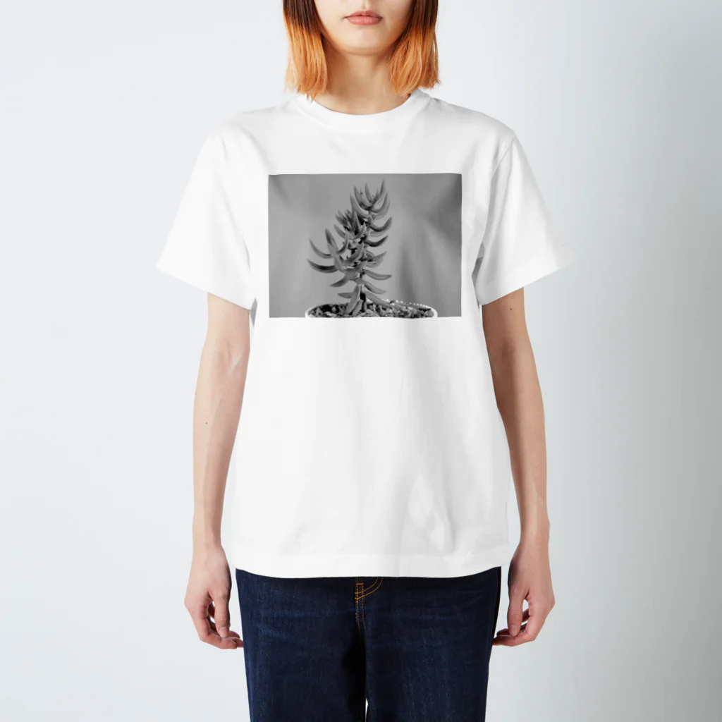 TANIKUDO by DJ.Plugmaticsの多肉植物B Black and white Regular Fit T-Shirt