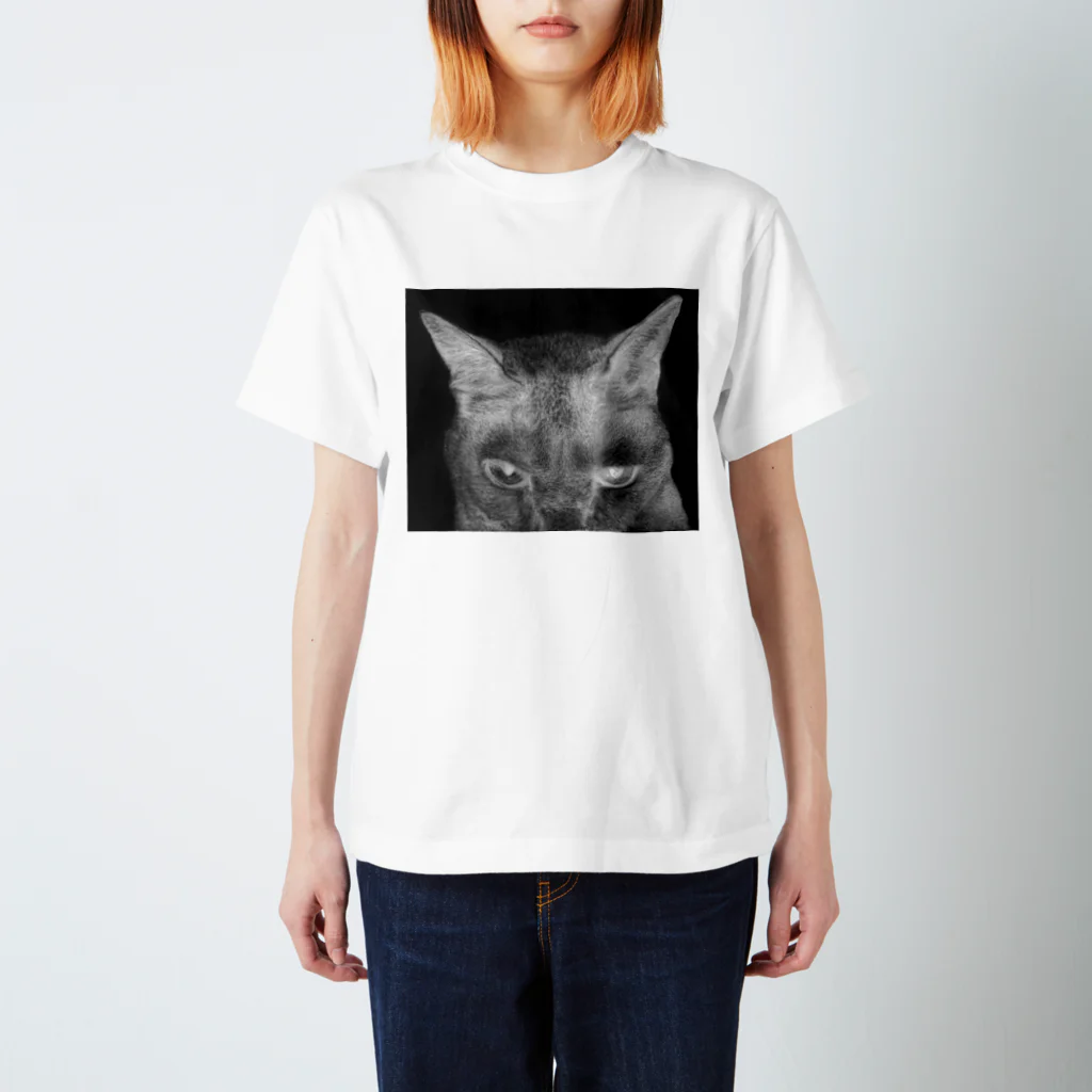 first_firmamentの般ニャ　白黒反転ヴァージョン Regular Fit T-Shirt