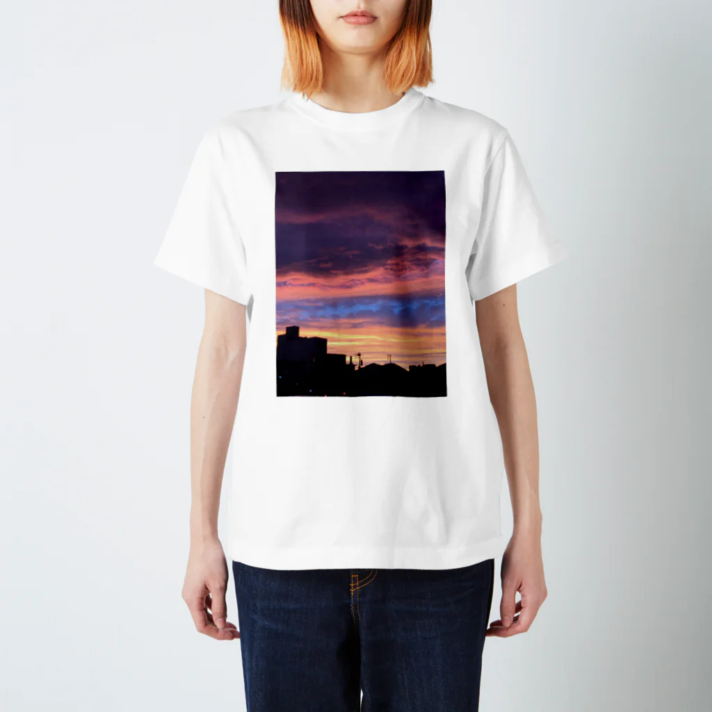 クサナギの夕焼け スタンダードTシャツ