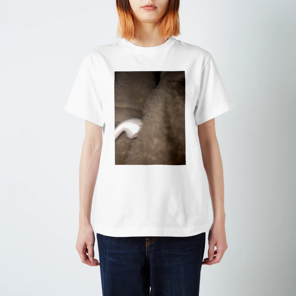 jiisayaka_のいやぽん Regular Fit T-Shirt