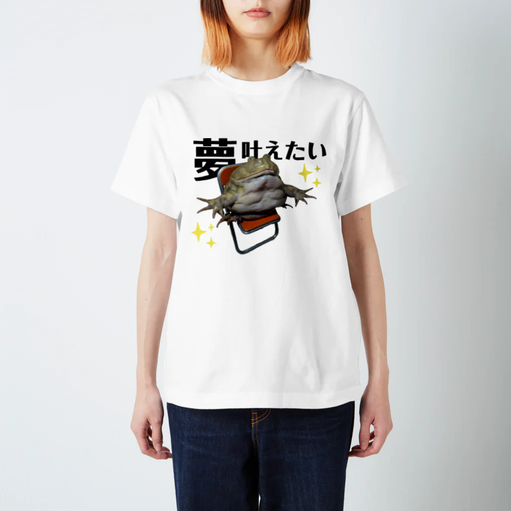 HARUチャンネルTVのアフウシ夢叶えたい Regular Fit T-Shirt