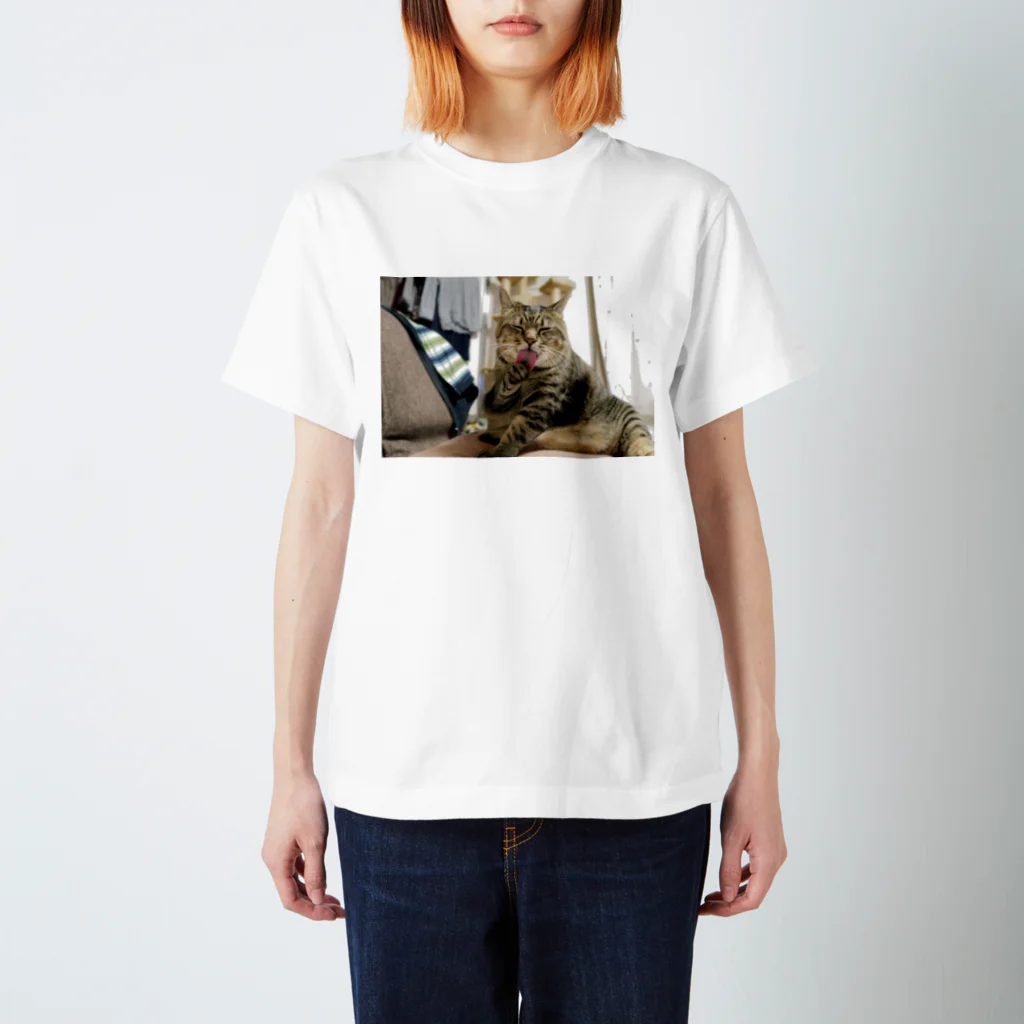 They call me"sambo"のねこ スタンダードTシャツ