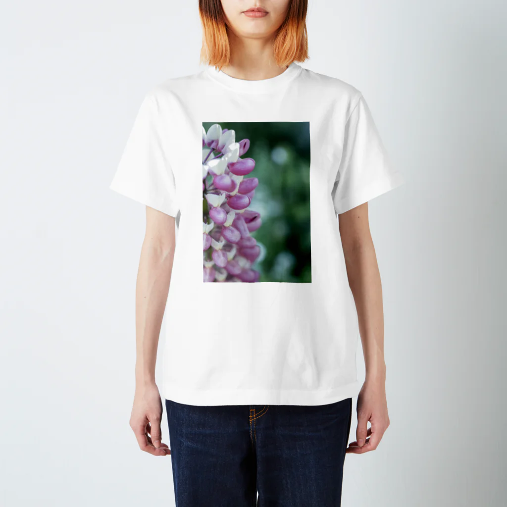 タマムシイロの花 スタンダードTシャツ