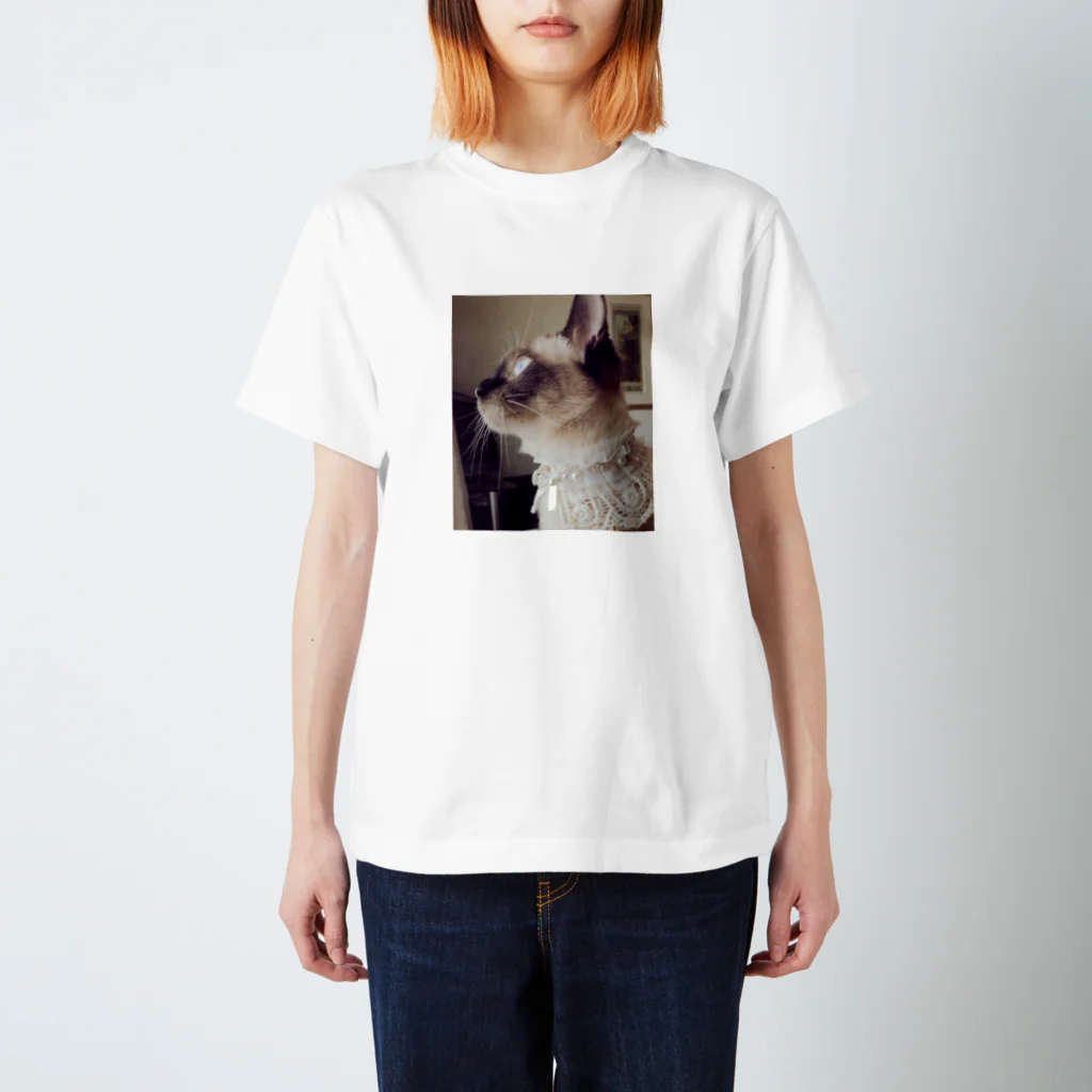 Siamese cat シャムのおしゃれシャム Regular Fit T-Shirt