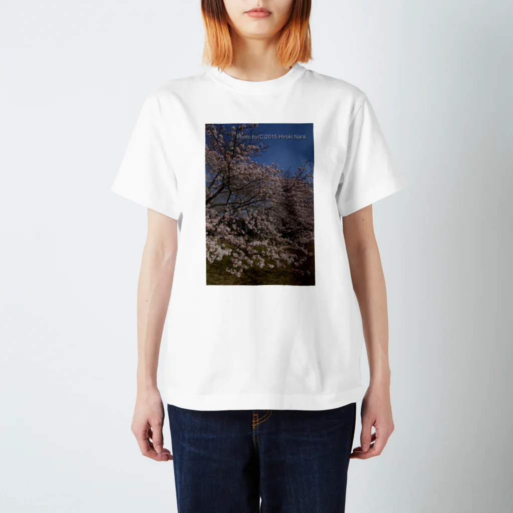 hiroki-naraの満開の桜 スタンダードTシャツ