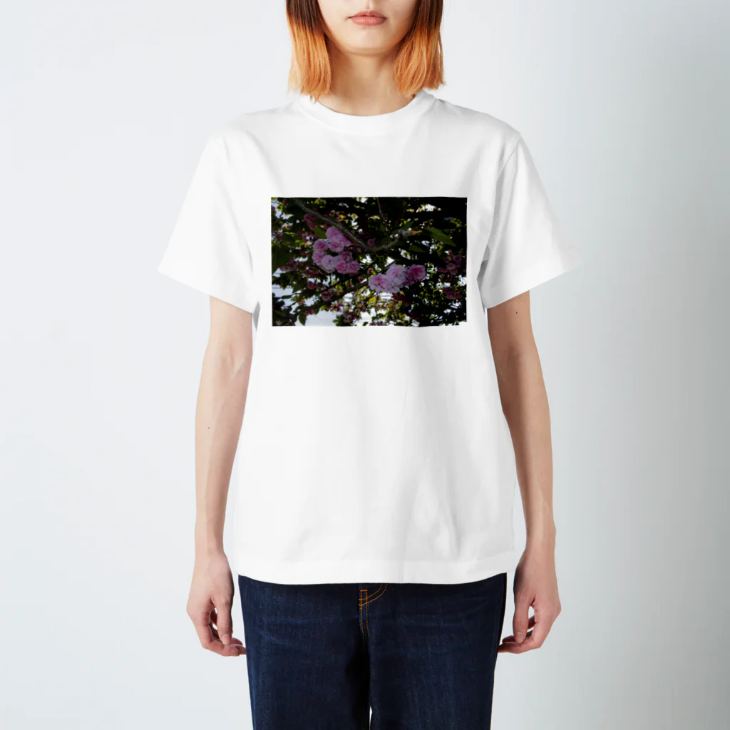 hiroki-naraの残った桜 Regular Fit T-Shirt