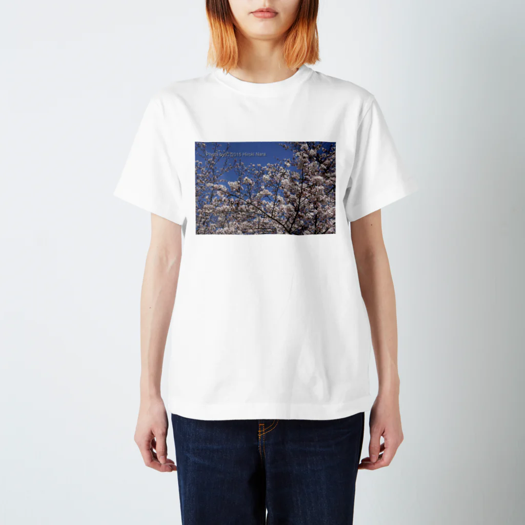 hiroki-naraの光景　sight0069　桜　2015_014　サクラ  スタンダードTシャツ