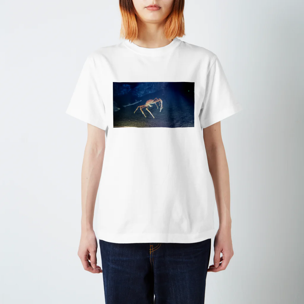 ExBxT の蟹 スタンダードTシャツ
