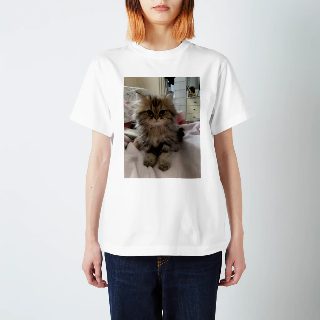 くまくまのうちねこ Regular Fit T-Shirt