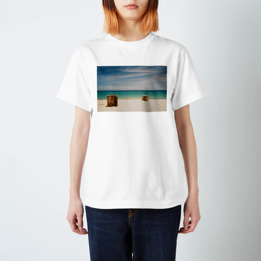 思い出わんさかの海'19 スタンダードTシャツ