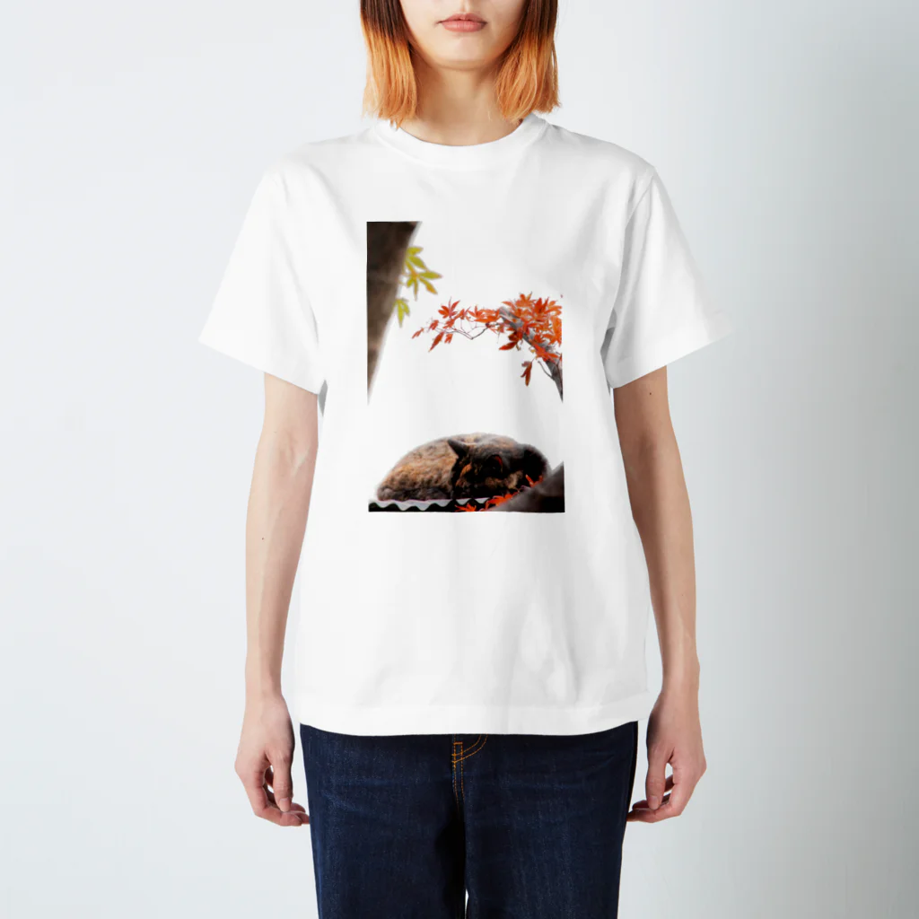 シッポ追いの猫写真店のサビ猫と紅葉 Regular Fit T-Shirt