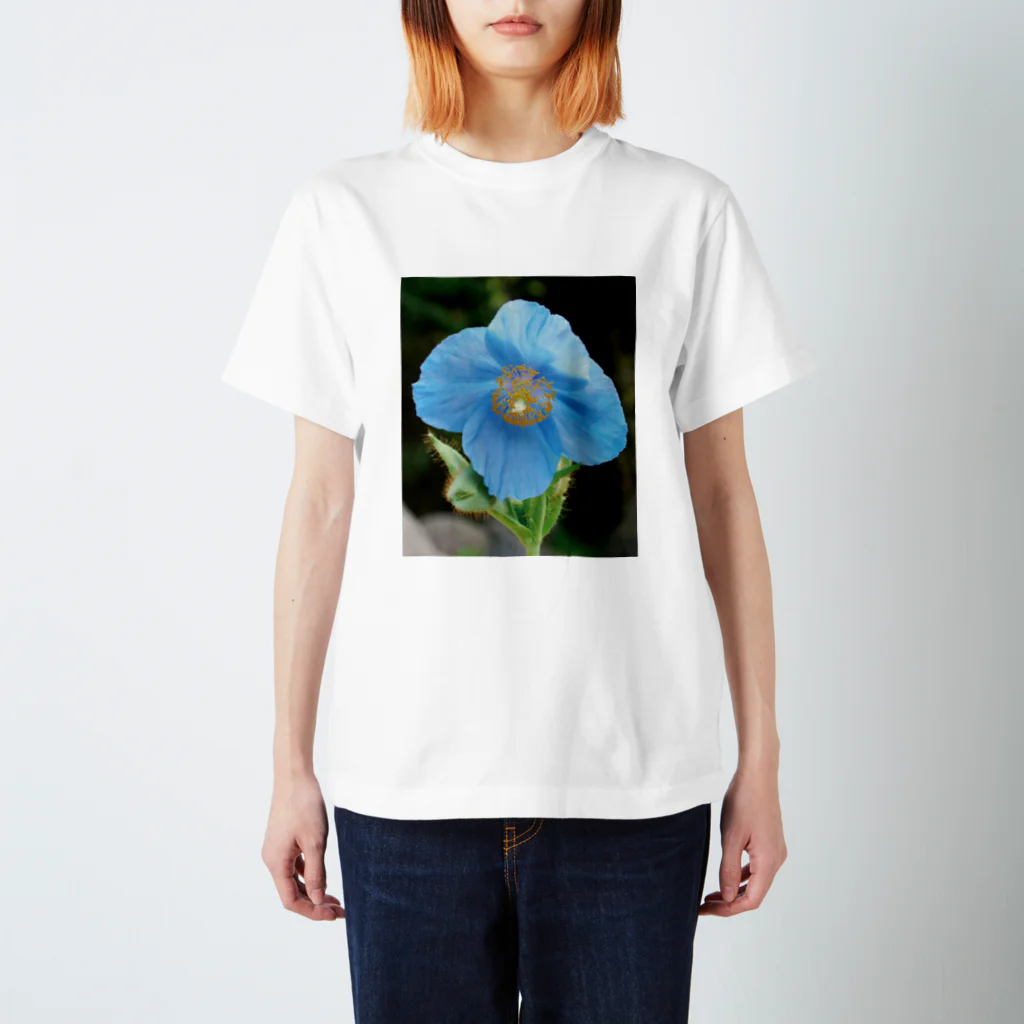 植物に会いにいくショップの青いケシ Tシャツ【限定10個】 Regular Fit T-Shirt